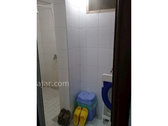 عکس شماره 293095 - اجاره آپارتمان در لاهیجان - 