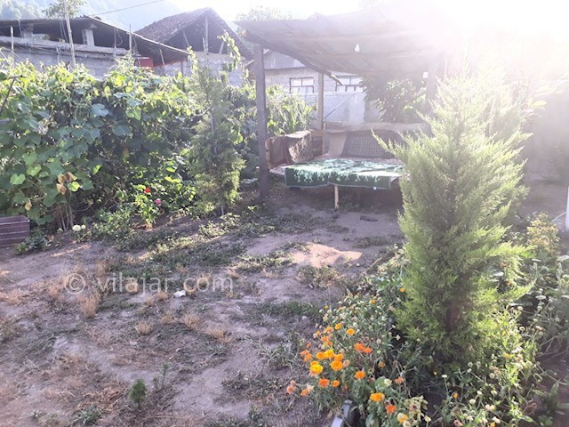 عکس شماره 294981 - اجاره ویلای روستایی نزدیک جنگل - 