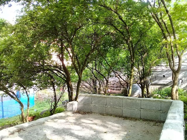 عکس شماره 297205 - خانه ویلایی بر رودخانه اسالم - 