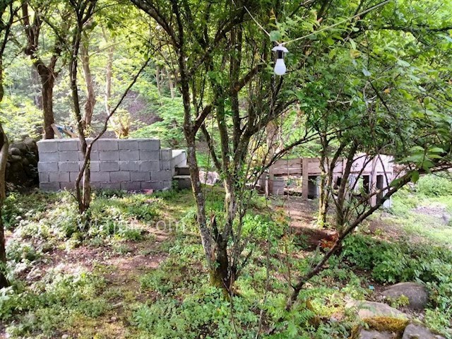 عکس شماره 297215 - خانه ویلایی بر رودخانه اسالم - 