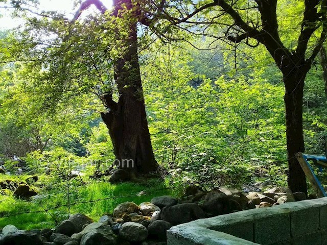 عکس شماره 297233 - خانه ویلایی بر رودخانه اسالم - 