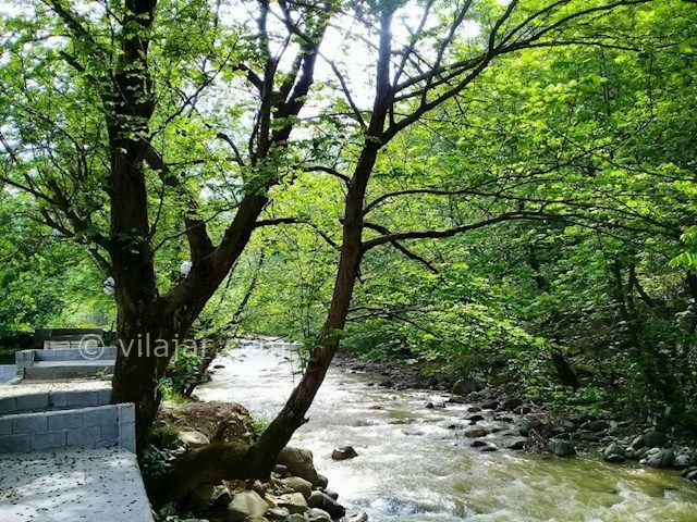 عکس شماره 297241 - خانه ویلایی بر رودخانه اسالم - 