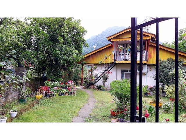 عکس شماره 297723 - ویلای جنگلی در اسالم - 