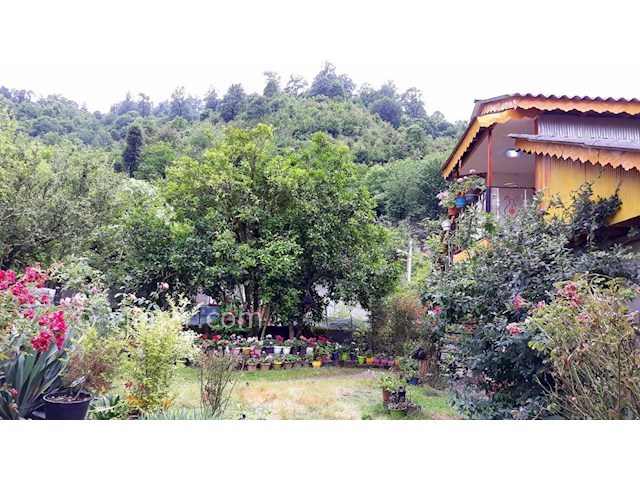 عکس شماره 297725 - ویلای جنگلی در اسالم - 