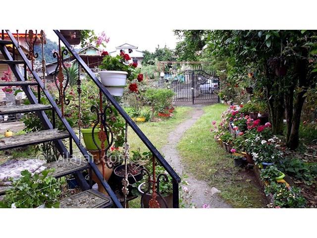 عکس شماره 297733 - ویلای جنگلی در اسالم - 