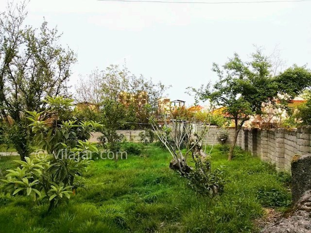 عکس شماره 297769 - اجاره ویلای جنگلی در تالش - 