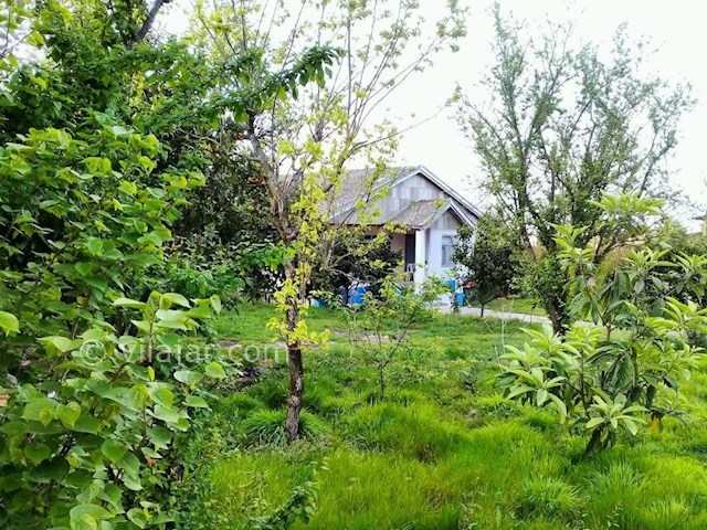 عکس شماره 297771 - اجاره ویلای جنگلی در تالش - 