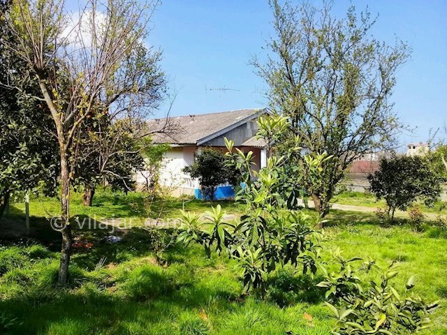 عکس شماره 297775 - اجاره ویلای جنگلی در تالش - 