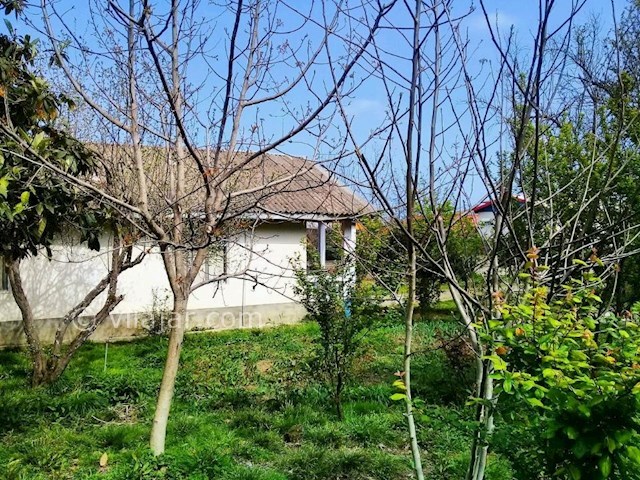 عکس شماره 297781 - اجاره ویلای جنگلی در تالش - 