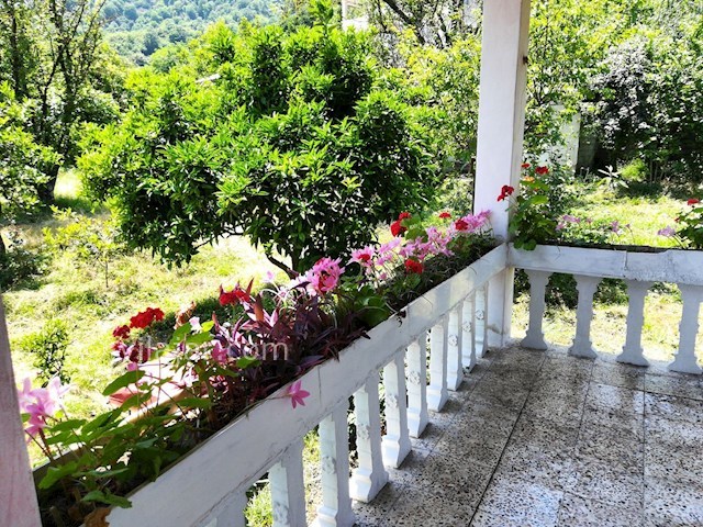 عکس شماره 297783 - اجاره ویلای جنگلی در تالش - 