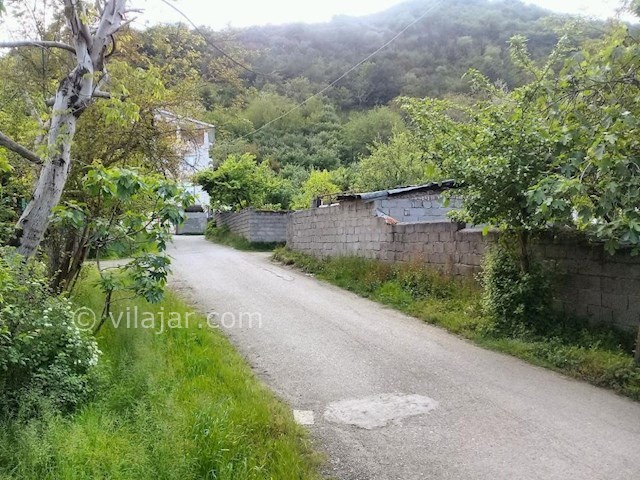 عکس شماره 297785 - اجاره ویلای جنگلی در تالش - 