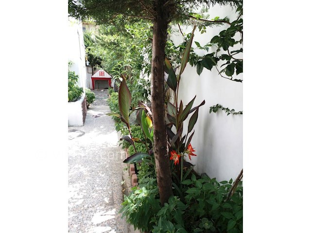 عکس شماره 298363 - اجاره ویلا در ایزدشهر -