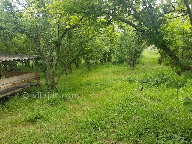 عکس شماره 298403 - اجاره عمارت سنتی در تالش - 