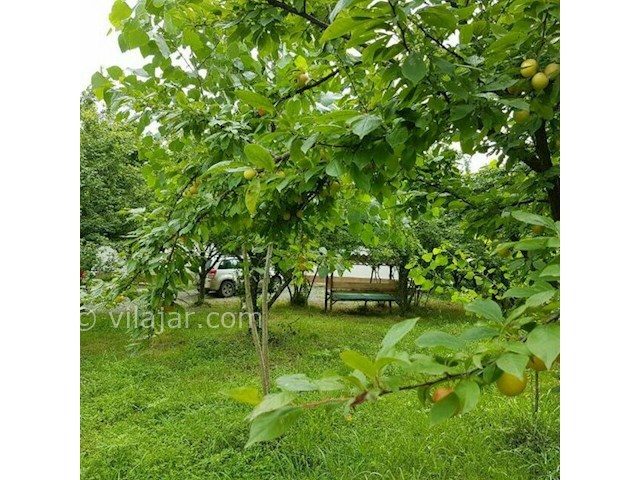 عکس شماره 298411 - اجاره عمارت سنتی در تالش - 