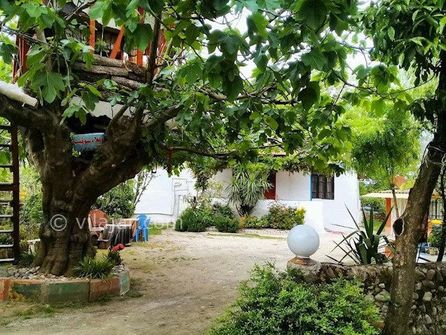 عکس شماره 299589 - اجاره خانه روستایی در تالش - 