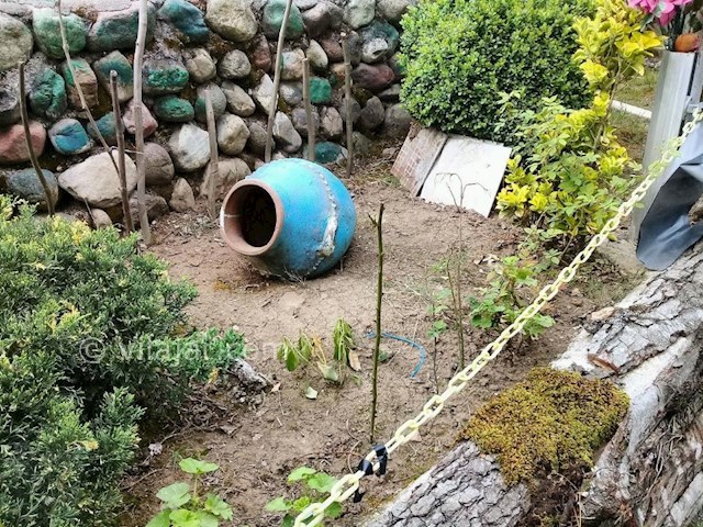 عکس شماره 299591 - اجاره خانه روستایی در تالش - 