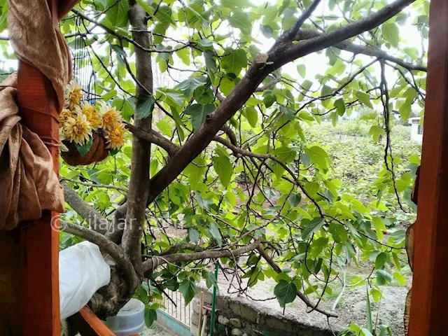 عکس شماره 299609 - اجاره خانه روستایی در تالش - 