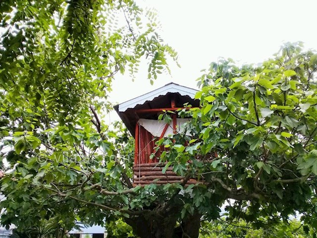 عکس شماره 299611 - اجاره خانه روستایی در تالش - 