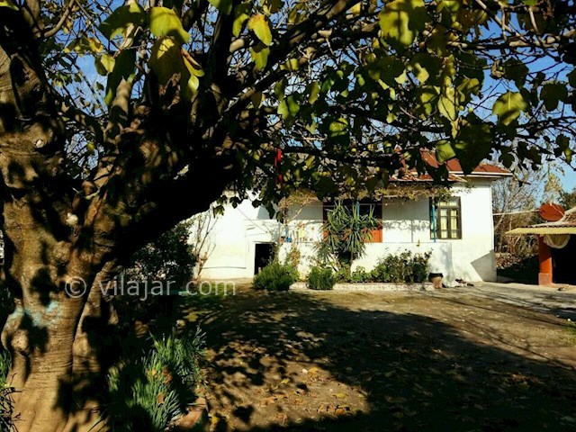 عکس شماره 299635 - اجاره خانه روستایی در تالش - 