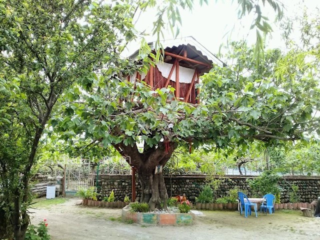 عکس شماره 299705 - اجاره خانه روستایی در تالش - 
