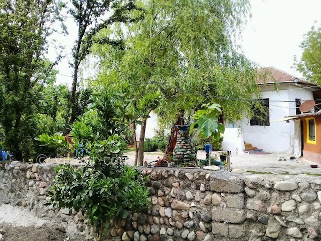 عکس شماره 299707 - اجاره خانه روستایی در تالش - 