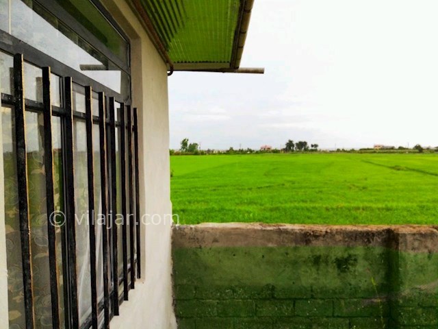 عکس شماره 299931 - ویلا باغ اجاره ای در تالش - 