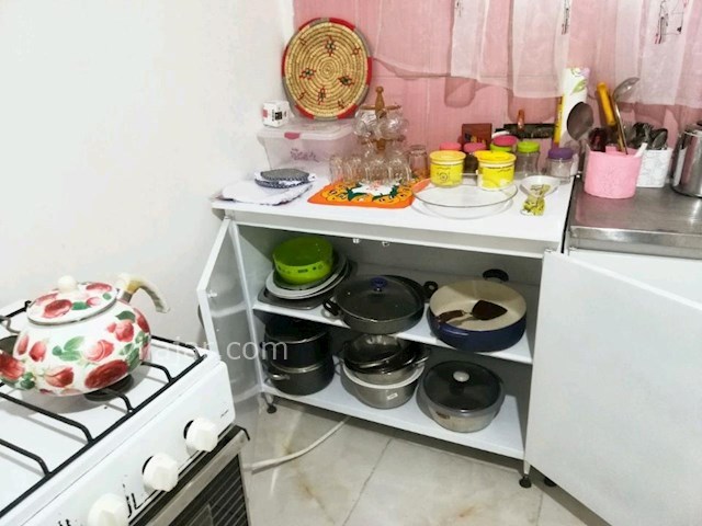 عکس شماره 299959 - ویلا باغ اجاره ای در تالش - 