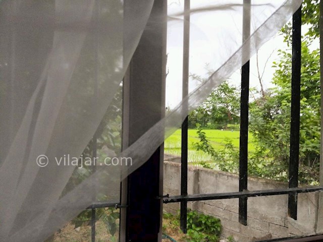 عکس شماره 299995 - ویلا باغ اجاره ای در تالش - 