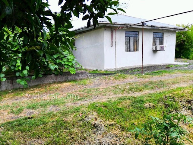 عکس شماره 299997 - ویلا باغ اجاره ای در تالش - 