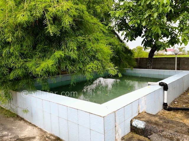 عکس شماره 300001 - ویلا باغ اجاره ای در تالش - 