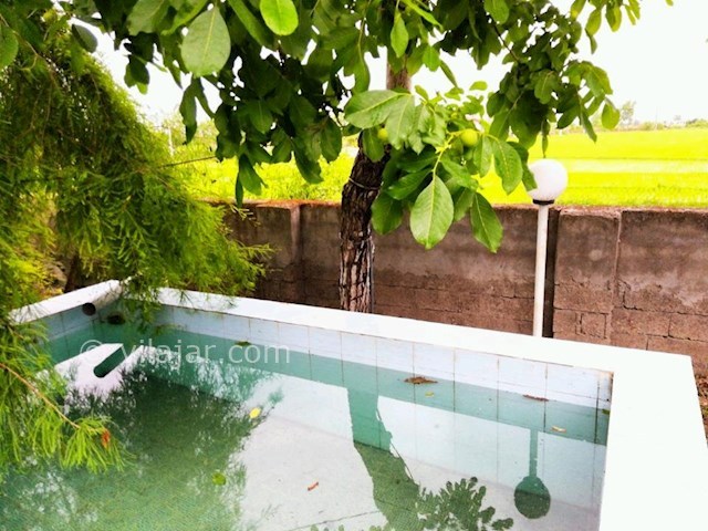 عکس شماره 300003 - ویلا باغ اجاره ای در تالش - 