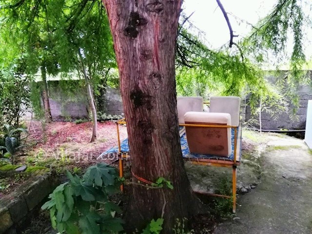 عکس شماره 300009 - ویلا باغ اجاره ای در تالش - 