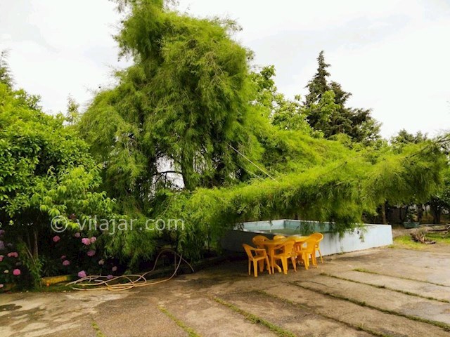 عکس شماره 300013 - ویلا باغ اجاره ای در تالش - 