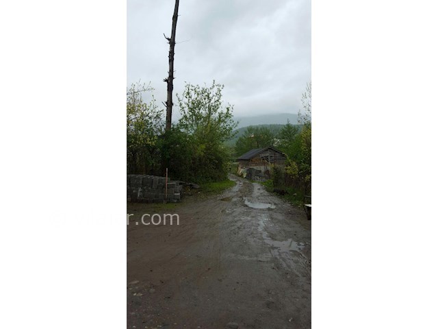 عکس شماره 300599 - ویلا در جنگل سه هزار تنکابن - 