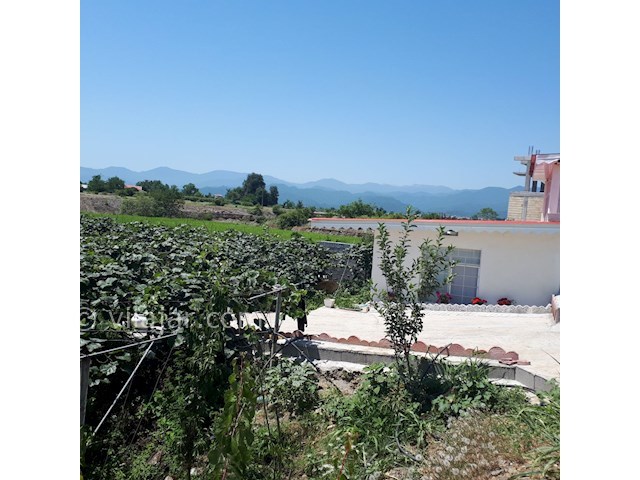 عکس شماره 302327 - کرایه ی باغ ویلا در تالش - 