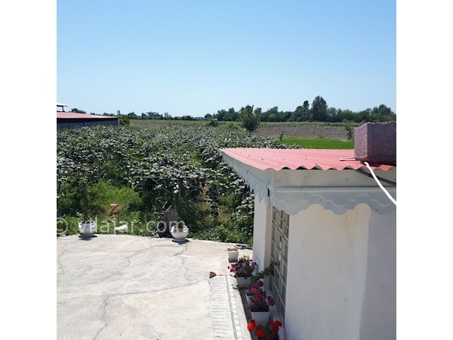 عکس شماره 302331 - کرایه ی باغ ویلا در تالش - 