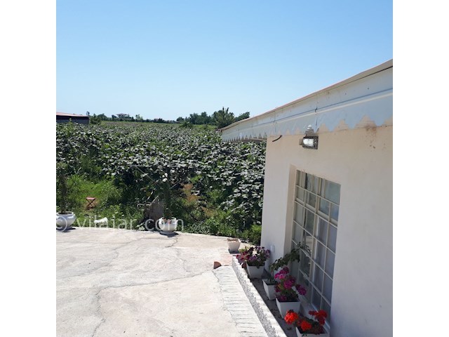 عکس شماره 302333 - کرایه ی باغ ویلا در تالش - 