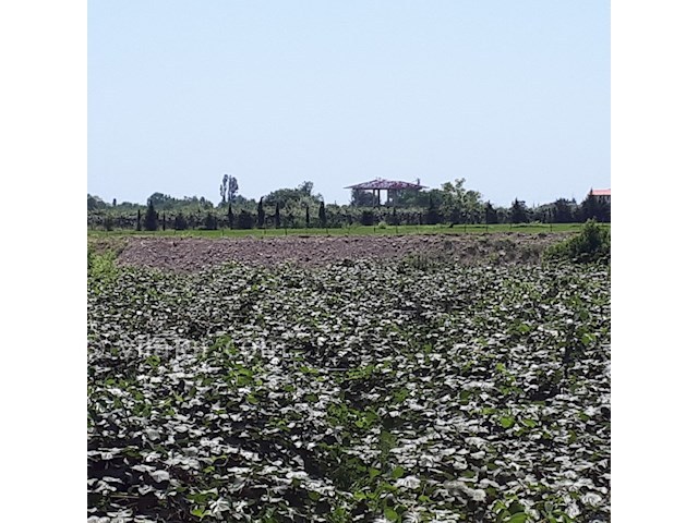 عکس شماره 302349 - کرایه ی باغ ویلا در تالش - 