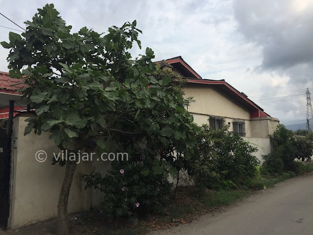 عکس شماره 302491 - ویلا اجاره ای در شیرود - 