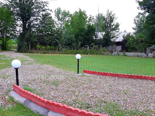 عکس شماره 303869 - اجاره ویلا در ماسال در جنگل - 