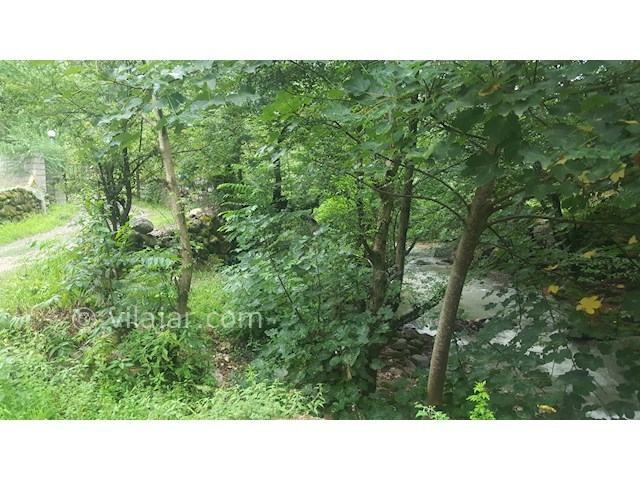 عکس شماره 304683 - کرایه ویلای جنگلی لب رودخانه - 