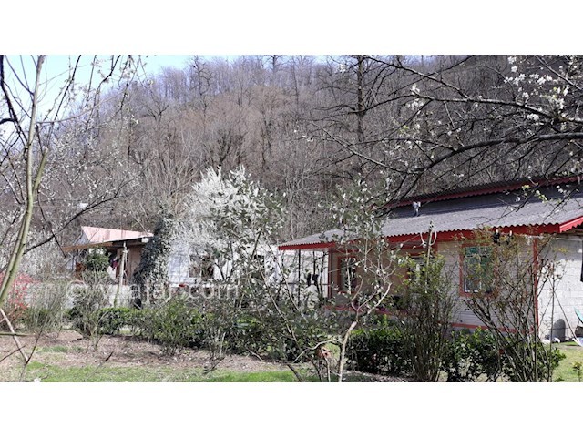 عکس شماره 304717 - کرایه ویلای جنگلی لب رودخانه - 