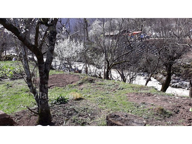 عکس شماره 304719 - کرایه ویلای جنگلی لب رودخانه - 