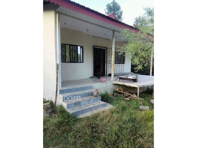 عکس شماره 304903 - ویلای جنگلی ییلاق مریان - 