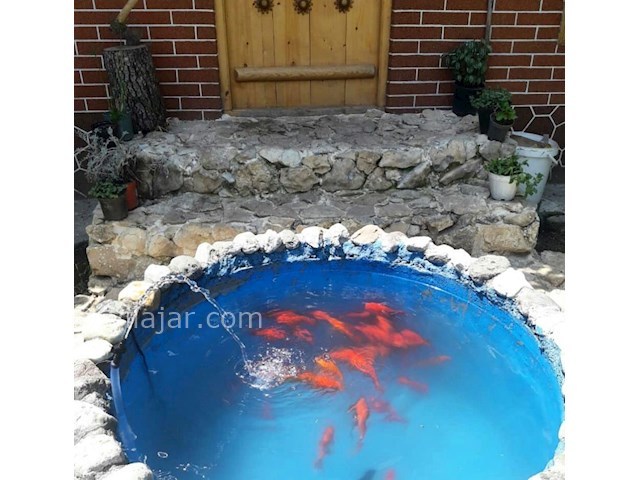 عکس شماره 305279 - اجاره کلبه سنتی در تالش - 