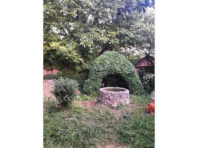 عکس شماره 305329 - اجاره کلبه سنتی در تالش - 