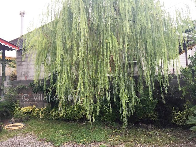 عکس شماره 306625 - اجاره ویلا در زیباکنار - 