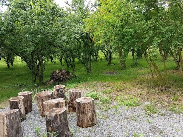 عکس شماره 307383 - اجاره عمارت سنتی در تالش - 