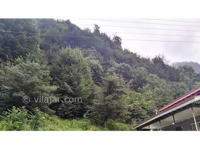 عکس شماره 310893 - اجاره ویلا در جنگل اسالم - 