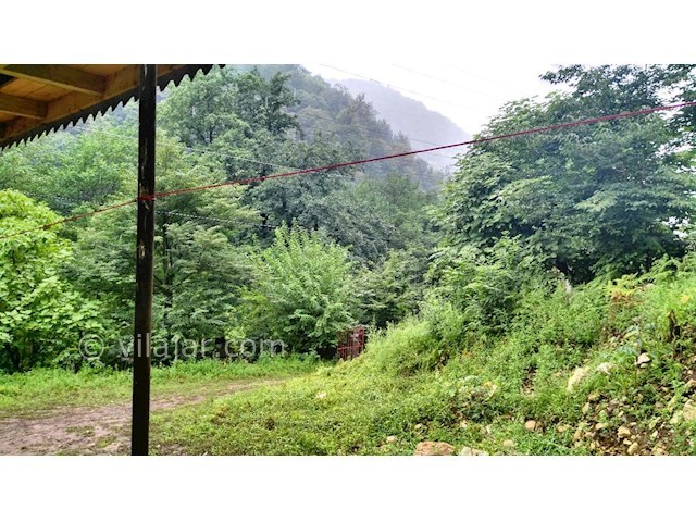 عکس شماره 310895 - اجاره ویلا در جنگل اسالم - 